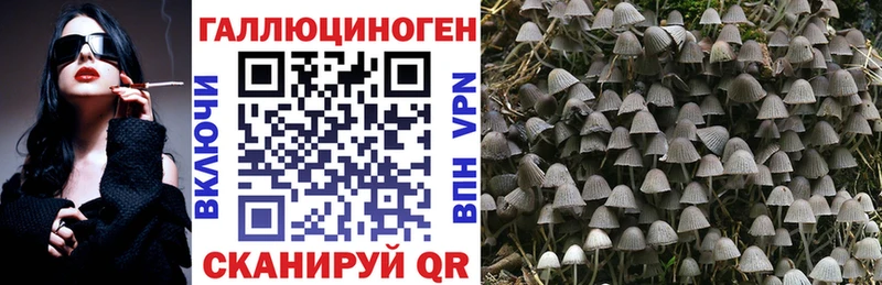 Галлюциногенные грибы мицелий Кстово