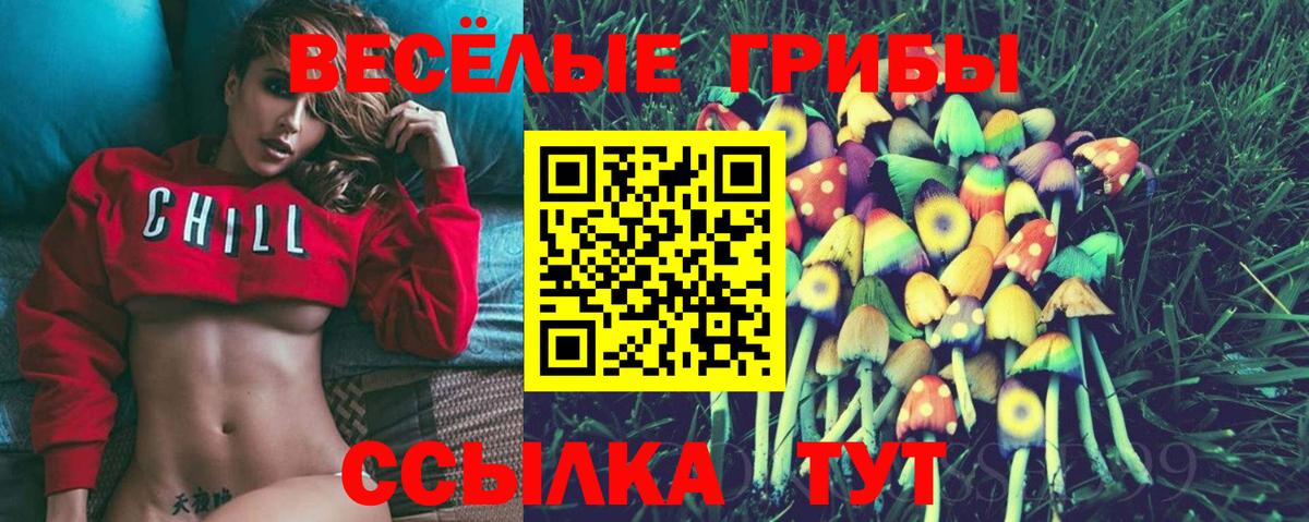 Галлюциногенные грибы MAGIC MUSHROOMS Кстово